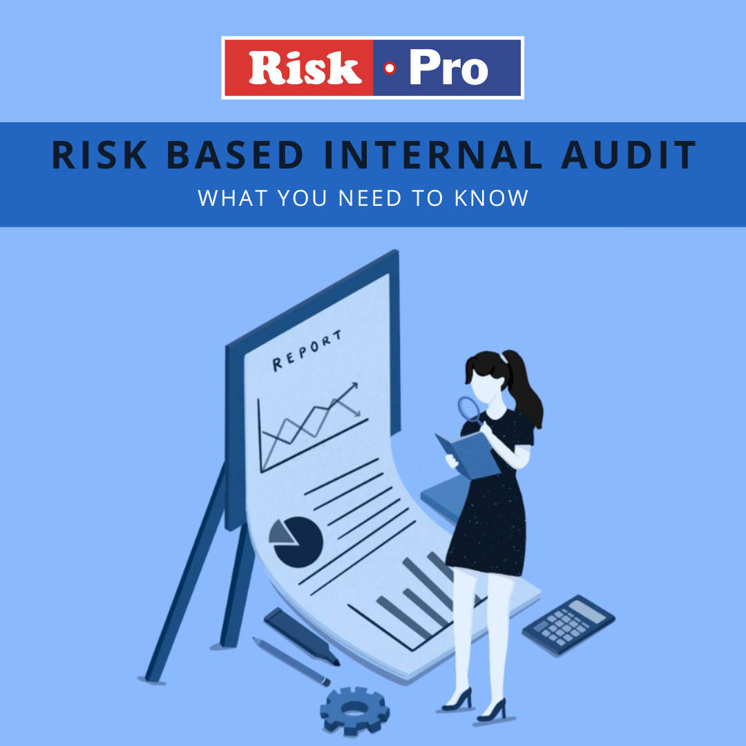 Understanding Risk Based Internal Audit: What You Need to Know | Riskpro
