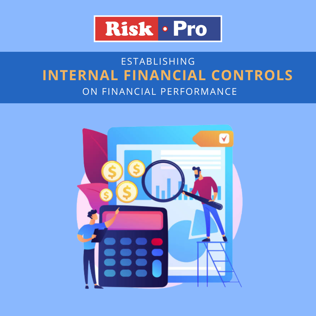 The Impact of Internal Financial Control on Financial Performance